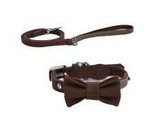 bow tie collar